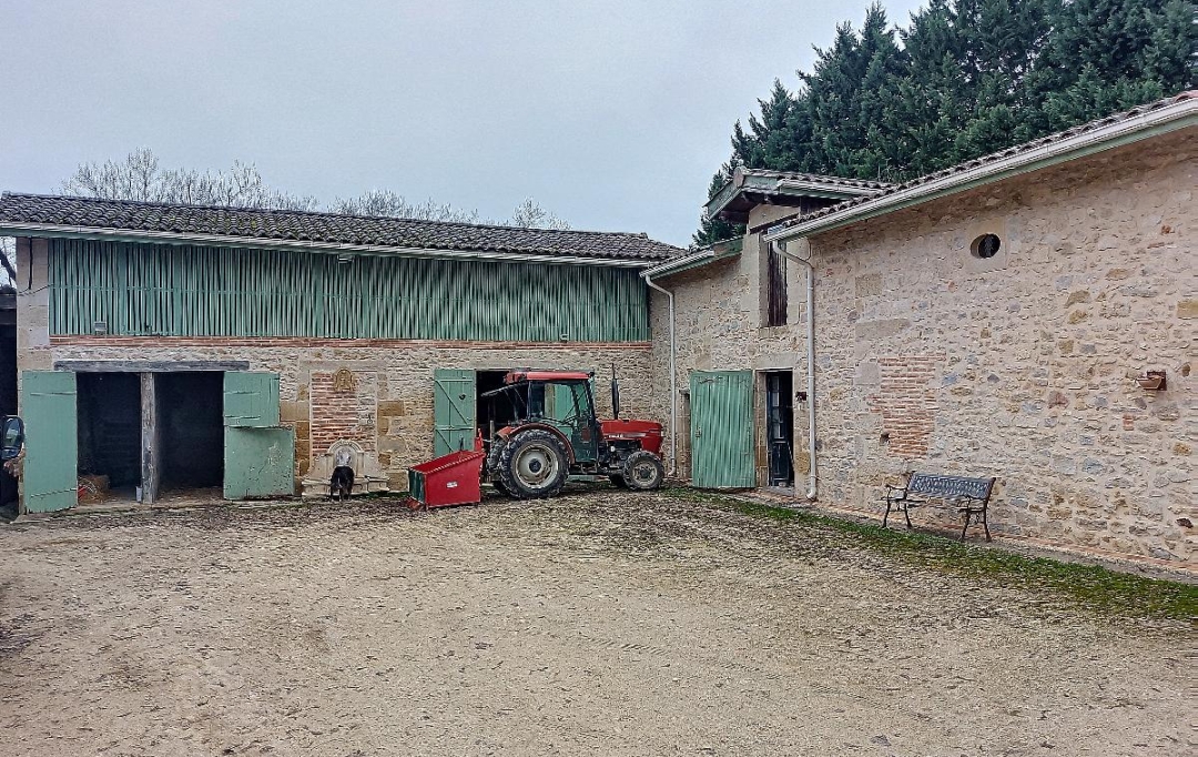 BELLES PROPRIETES D'AQUITAINE : Domaines / Propriétés | BORDEAUX (33000) | 244 m2 | 1 260 000 € 